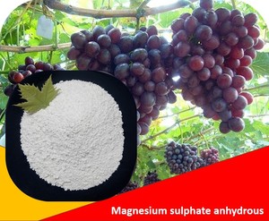Magnesium sulphate anhydrous 20-80 mesh micro granule