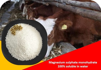 Magnesium sulphate monohydrate (Industrial grade) 8-20 mesh