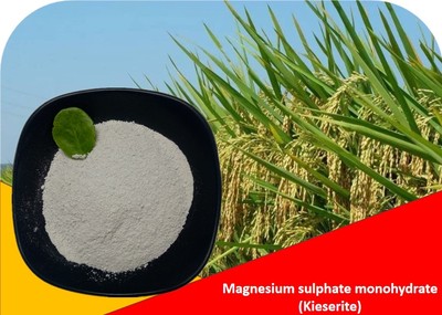 Magnesium sulphate monohydrate (Fertilizer Grade) Kieserite 10-100 mesh
