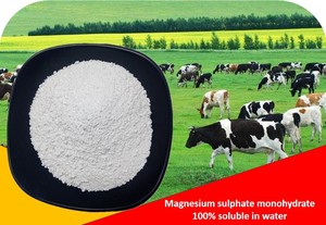 Magnesium sulphate monohydrate (Industrial grade) 20-80 mesh
