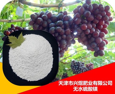 无水硫酸镁 20-80目 工厂直销