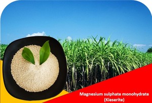 Magnesium sulphate monohydrate (Kieserite) 0.1-2mm