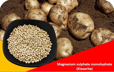 Magnesium sulphate monohydrate (Kieserite) 2-5mm granule