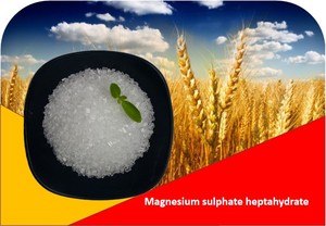 Magnesium sulphate heptahydrate 2-4 mm