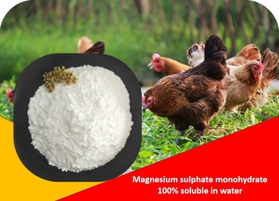 Magnesium sulphate monohydrate (Industrial grade) 80-120 mesh