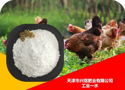 一水硫酸镁 （工业级）80-120 目 工厂直销